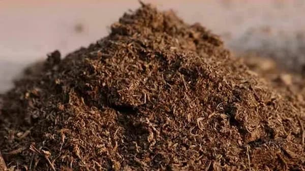 تصویر 3 از قیمت خرید کود مخصوص گندم و جو با فروش عمده